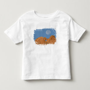 T-shirt Pour Les Tous Petits États-Unis, Colorado, Colorado Springs, Garden of 