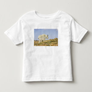 T-shirt Pour Les Tous Petits États-Unis, Colorado, Montagnes Rocheuses, mont Ev