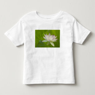 T-shirt Pour Les Tous Petits États-Unis, DC, Washington, Kenilworth Aquatic