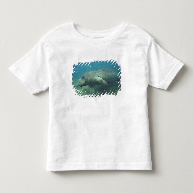 T-shirt Pour Les Tous Petits États-Unis, FL, Manatee (Devant)