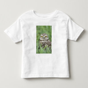 T-shirt Pour Les Tous Petits États-Unis, Floride, Cape Coral, Chevêche des terr