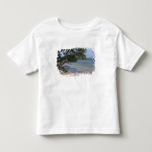 T-shirt Pour Les Tous Petits États-Unis, Hawaï, Kauai, paysage de plage. RF)