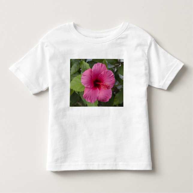 T-shirt Pour Les Tous Petits États-Unis, Hawaï, Oahu. L'Hibiscus est le 2 (Devant)