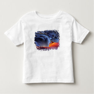 T-shirt Pour Les Tous Petits États-Unis, Hawaii, Big Island, Kilauea, Volcanoes