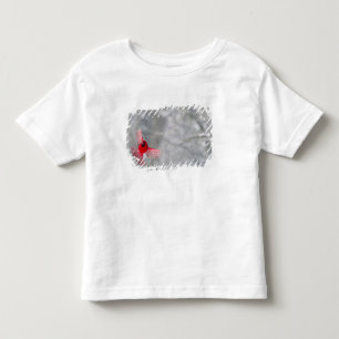 T-shirt Pour Les Tous Petits États-Unis, Indiana, Indianapolis. Un cardinal mâl