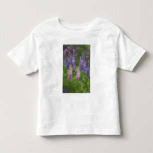 T-shirt Pour Les Tous Petits États-Unis, Maine, Southwest Harbor. Lupin en fleu
