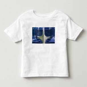 T-shirt Pour Les Tous Petits États-Unis, MASSACHUSETTS, Martha's Vineyard : Oue