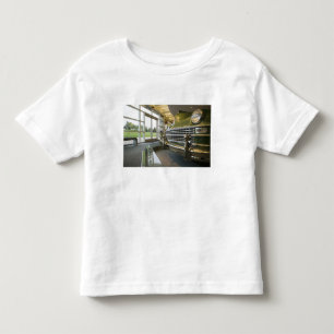 T-shirt Pour Les Tous Petits États-Unis, Michigan, Auburn Hills: Walter P. Crys