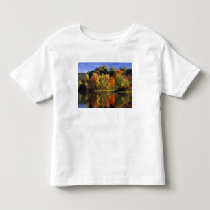 T-shirt Pour Les Tous Petits États-Unis, New Hampshire, Moultonborough. Arbres