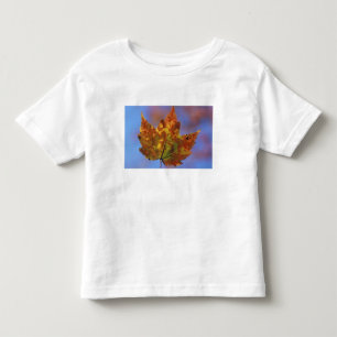 T-shirt Pour Les Tous Petits États-Unis, New Hampshire, White Mountains, Franco