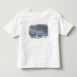 T-shirt Pour Les Tous Petits États-Unis, New York, Adirondacks, Big Moose River