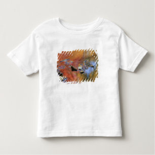 T-shirt Pour Les Tous Petits États-Unis, New York, Adirondacks, Feuilles tombés
