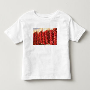 T-shirt Pour Les Tous Petits États-Unis, Nouveau-Mexique, Santa Fe : centre-vil