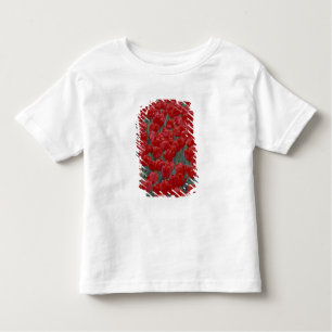 T-shirt Pour Les Tous Petits États-Unis, Ohio, Cincinnati. Lit de tulipes rouge