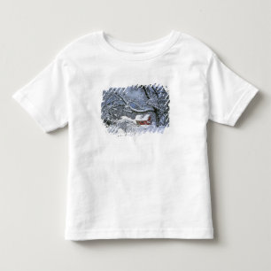 T-shirt Pour Les Tous Petits États-Unis, Oregon, comté de Clackamas. Neige fraî
