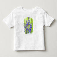 États-Unis, Oregon, Forêt nationale du mont Hood, 