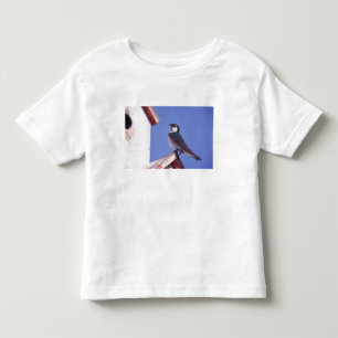 T-shirt Pour Les Tous Petits États-Unis, Oregon. Hirondelle à face blanche Tach