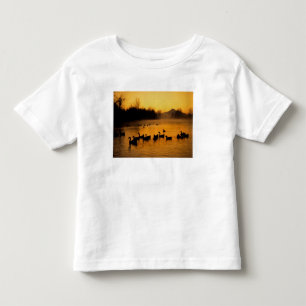 T-shirt Pour Les Tous Petits États-Unis, Oregon, Portland. Oiseaux d'eau en Col