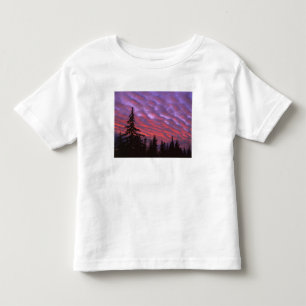 T-shirt Pour Les Tous Petits États-Unis, Oregon, Three Sisters Wilderness, Vivi