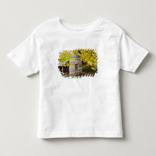 T-shirt Pour Les Tous Petits États-Unis, Tennessee, Gatlinburg. Great Smoky