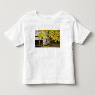 T-shirt Pour Les Tous Petits États-Unis, Tennessee, Gatlinburg. Great Smoky