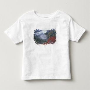 T-shirt Pour Les Tous Petits États-Unis, Tennessee, Great Smokey Mountains Nati