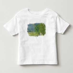 T-shirt Pour Les Tous Petits États-Unis, Tennessee, Great Smoky Mountains NP,