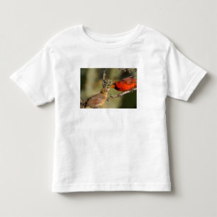 T-shirt Pour Les Tous Petits États-Unis, Texas, vallée du Rio Grande, McAllen.