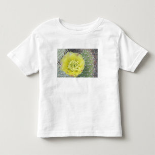T-shirt Pour Les Tous Petits États-Unis, Utah, Canyonlands, NP, Figue de Barbar