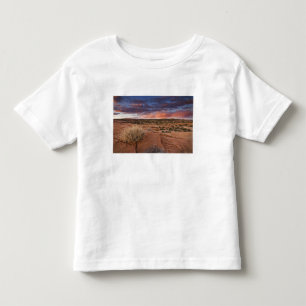 T-shirt Pour Les Tous Petits États-Unis, Utah. Coucher de soleil sur Poison Spi