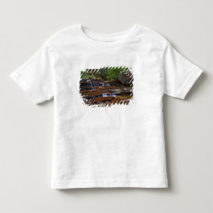 T-shirt Pour Les Tous Petits États-Unis, Utah, parc national de Zion. Scénique