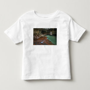 T-shirt Pour Les Tous Petits États-Unis, Utah, parc national de Zion. Vue depui