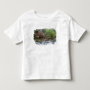 T-shirt Pour Les Tous Petits États-Unis, Virginie-Occidentale, Babcock SP. Rust