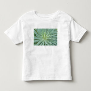 T-shirt Pour Les Tous Petits États-Unis, Washington, Bellevue, Bellevue Botanic