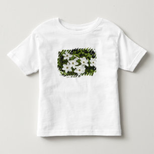 T-shirt Pour Les Tous Petits États-Unis, Washington, Cornouiller du Pacifique, 