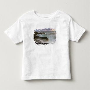 T-shirt Pour Les Tous Petits États-Unis, Washington, îles San Juan.  Crash de