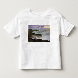 T-shirt Pour Les Tous Petits États-Unis, Washington, îles San Juan. Crash des