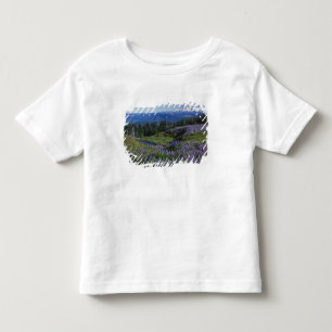 T-shirt Pour Les Tous Petits États-Unis, Washington Mt Adams Wilderness, Meado