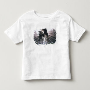 T-shirt Pour Les Tous Petits États-Unis, Washington, Parc national Olympique, M