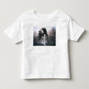T-shirt Pour Les Tous Petits États-Unis, Washington, Parc national Olympique, M