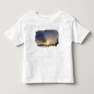 T-shirt Pour Les Tous Petits États-Unis, Washington, près de Port Townsend. Poi