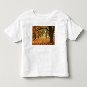 T-shirt Pour Les Tous Petits États-Unis, Washington, Spokane, Manito Park, Auto