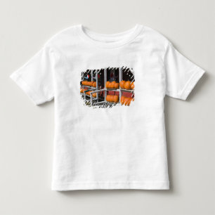 T-shirt Pour Les Tous Petits États-Unis, WISCONSIN, Washburn : rivage du lac Su