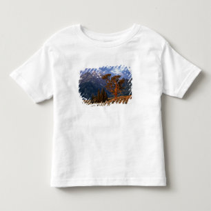 T-shirt Pour Les Tous Petits États-Unis, Wyoming, Grand Teton NP. Un cèdre soli