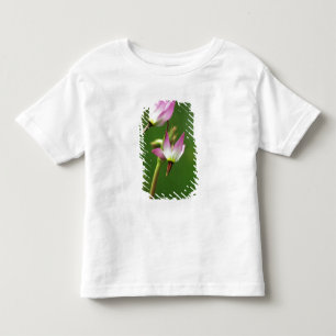 T-shirt Pour Les Tous Petits Étoile filante fleur sauvage, Californie, États-Un