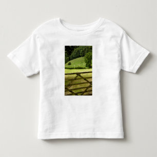 T-shirt Pour Les Tous Petits Europe, Angleterre, District des Lacs, Cumbria,