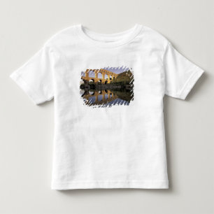 T-shirt Pour Les Tous Petits Europe, France, Provence, Gard; Pont du Gard,
