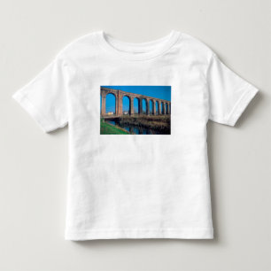 T-shirt Pour Les Tous Petits Europe, Italie. Aqueduc près de Lucques.