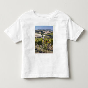 T-shirt Pour Les Tous Petits Europe, Italie, Ombrie, près de Montefalco, vignob