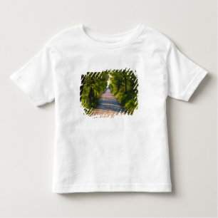 T-shirt Pour Les Tous Petits Europe, Italie, Toscane, route bordée d'arbres